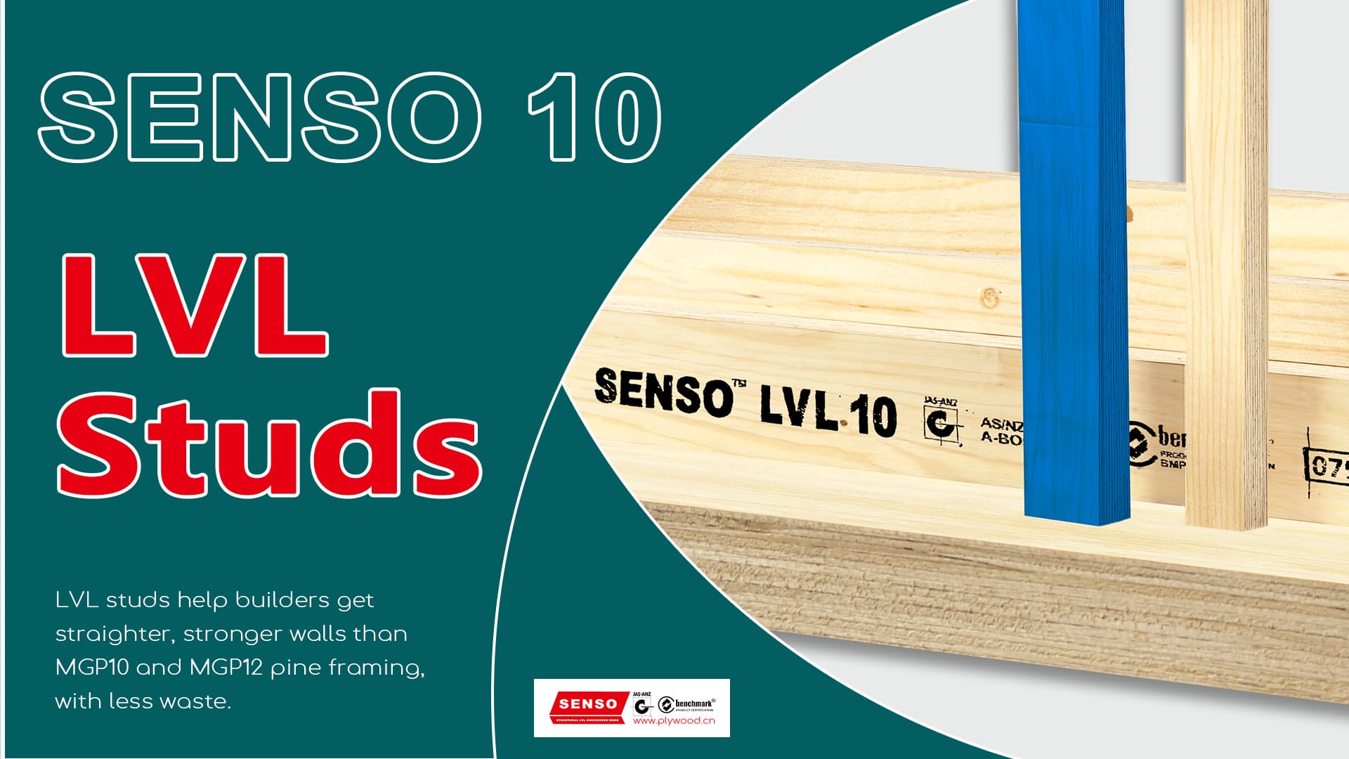 SENSO Structural LVL studs