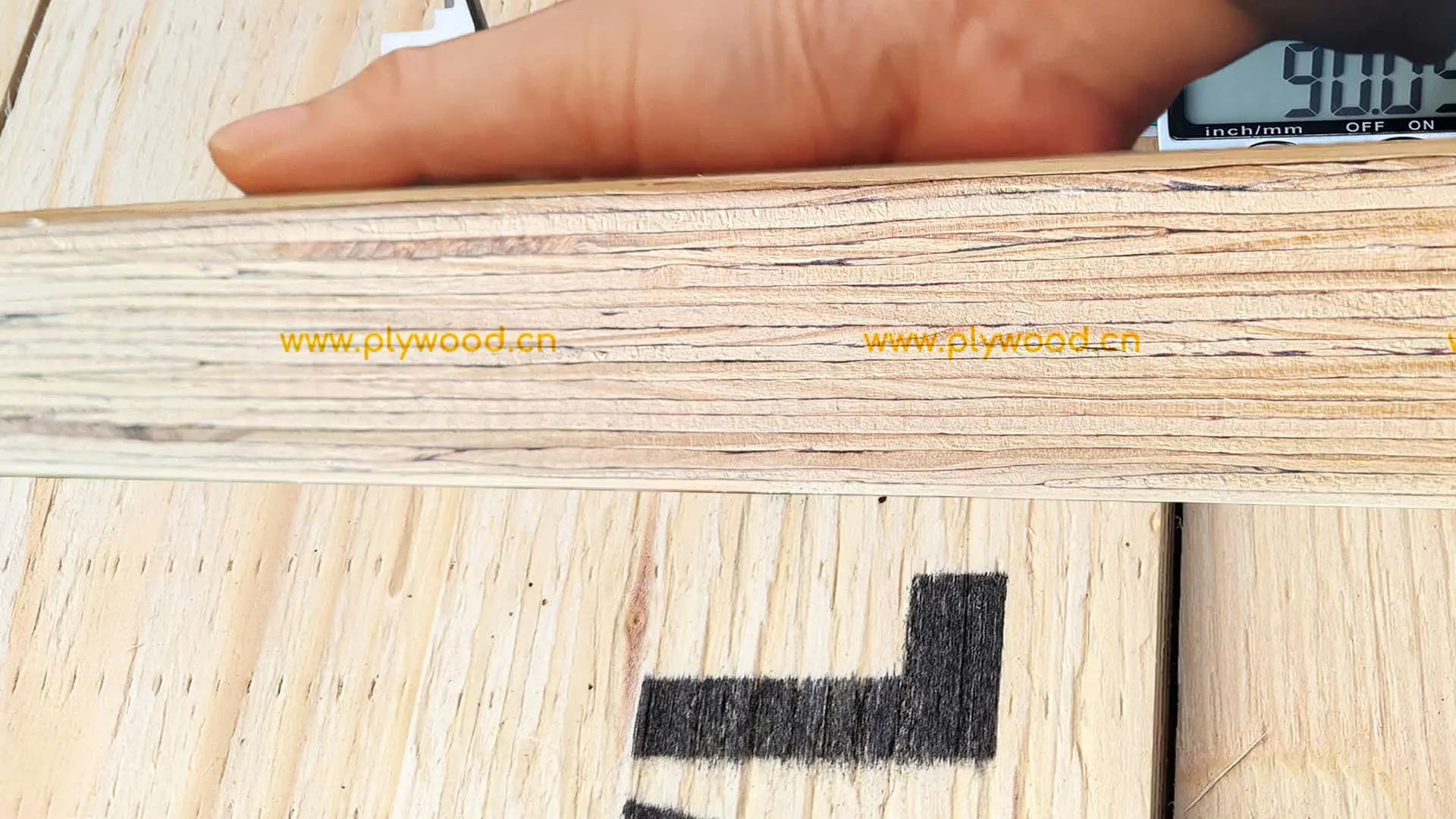 LVL Studs wall framing