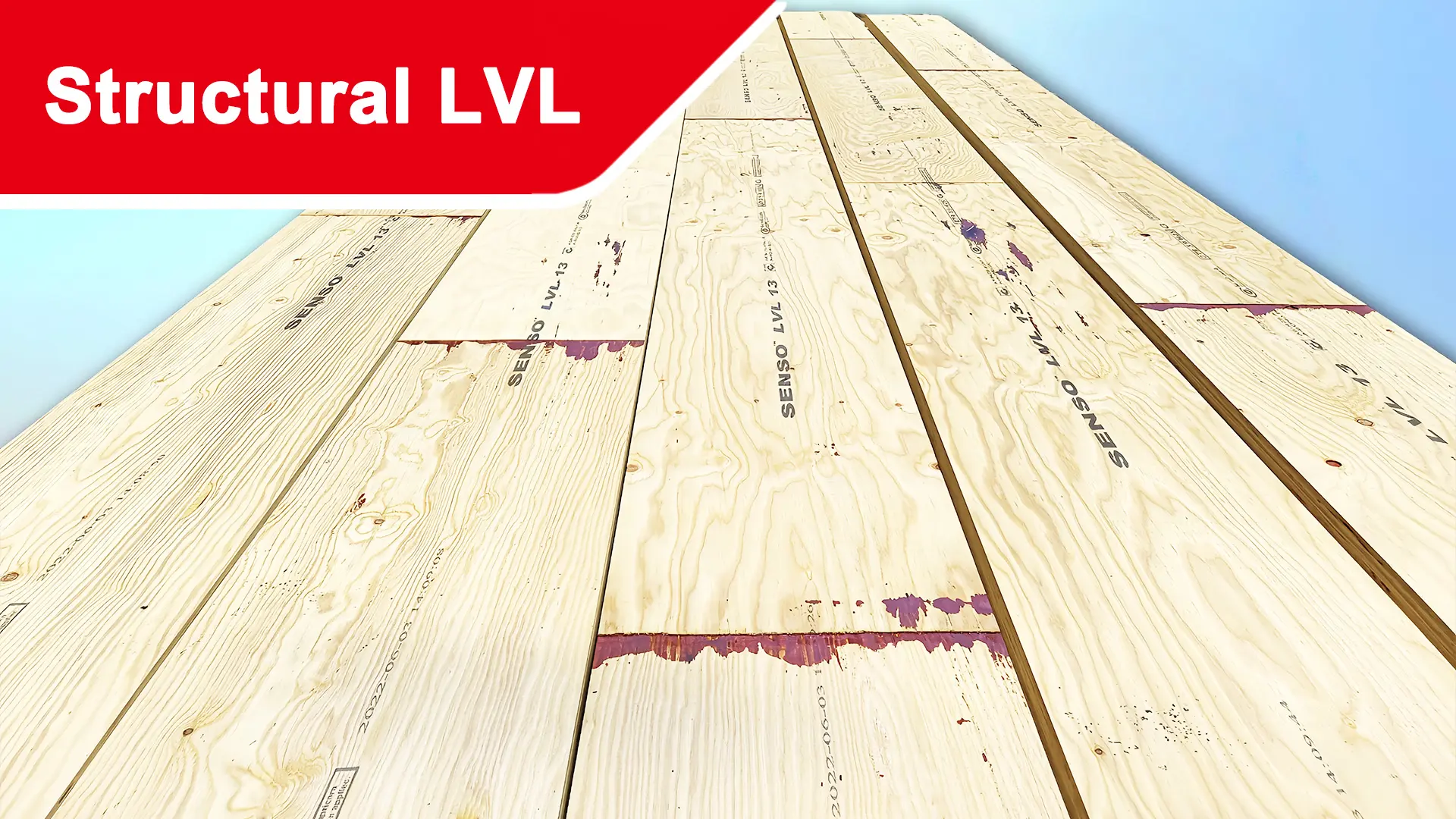 SENSO structural LVL for framing support and engineered wood construction