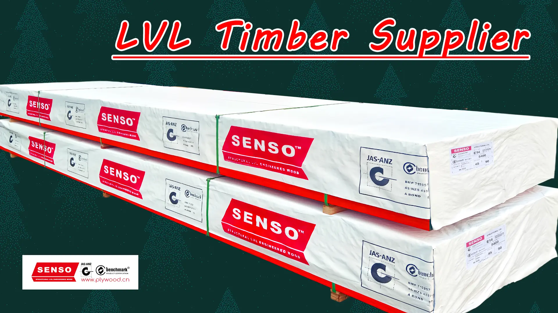 SENSO LVL Timber Supplier checking engineered wood beams for wholesale structural timber and formwork orders